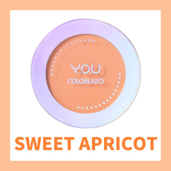 Colorland Focus On Me Blush